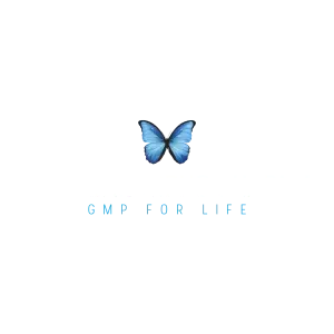 08-Global-morpho-02